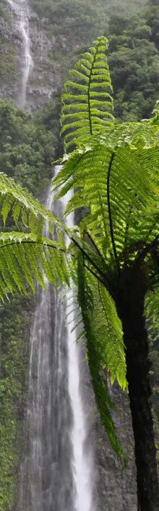 La Réunion mit dem Velo